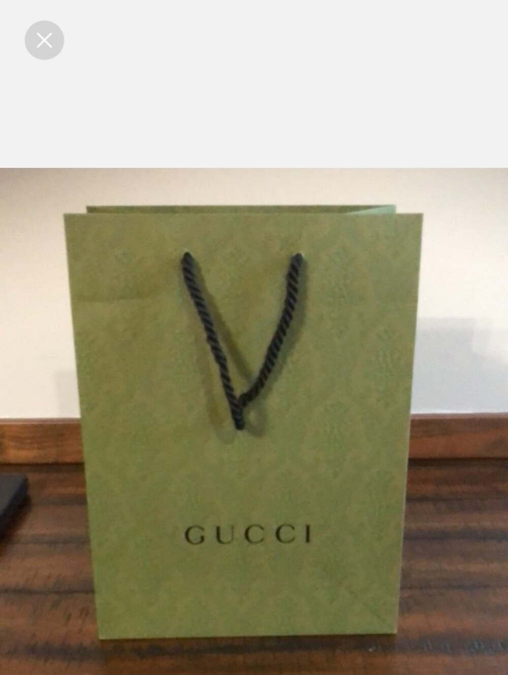 Gucci Shopping/Gift Bag